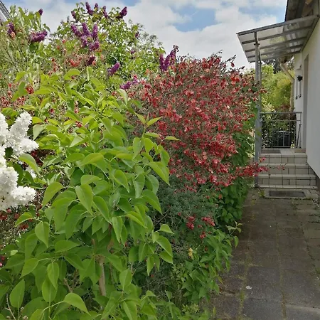 Freistehendes In Mit Terrasse, Grill Und Garten